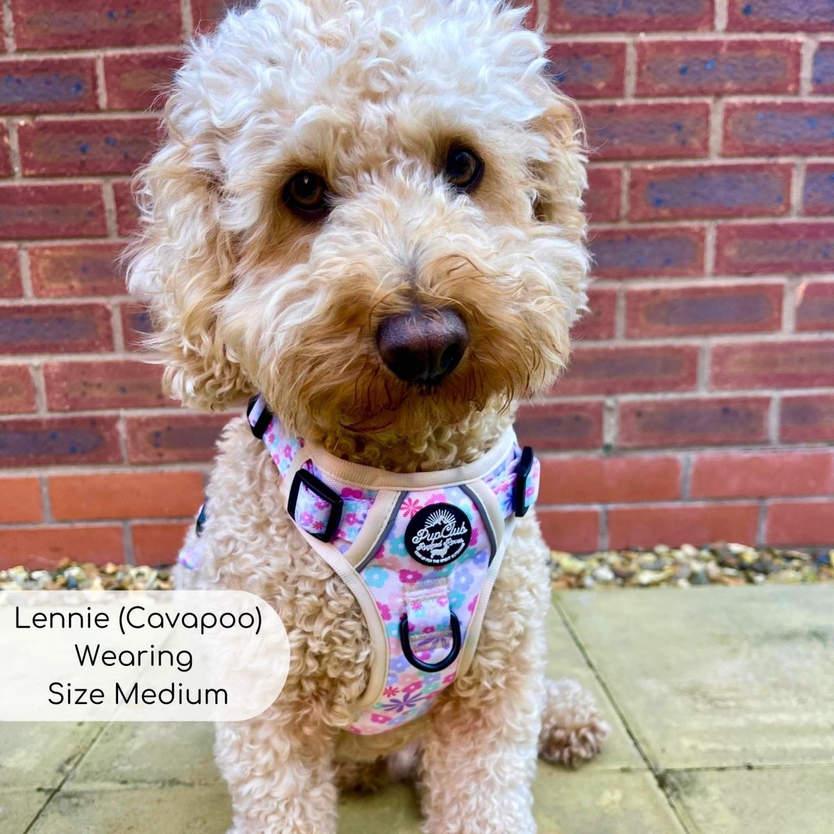 Rugged Rover™ Harness - Pretty Petals