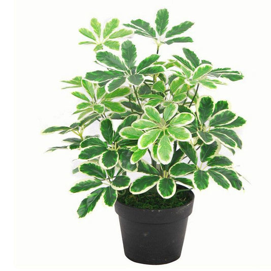 Variegated Artificial Schefflera Arboricola Plant 55cm