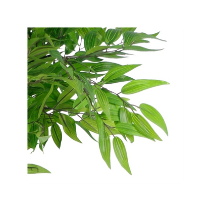 Luxury Artificial Mini Ruscus Tree Premium Range 100cm